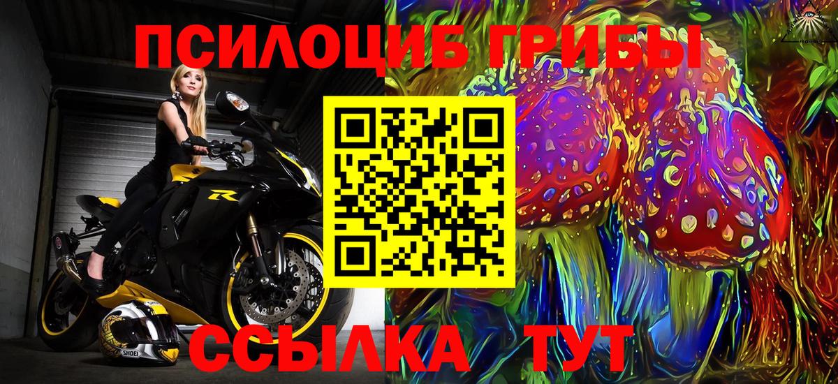 Галлюциногенные грибы Psilocybine cubensis Златоуст